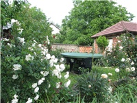 1d403961-Picture 781.jpg